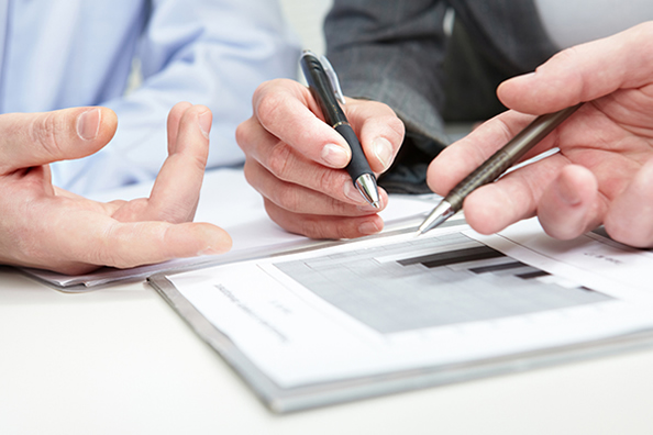 Grupo de ervas em pó