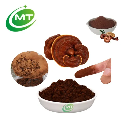 Extrato de planta de cogumelo Ganoderma Lucidum orgânico Reishi Cogumelo Ervas em pó Extrato de Reishi para suplemento de saúde